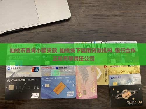 仙桃市麦肯小额贷款_仙桃线下信用贷款机构_银行合作正规有限责任公司