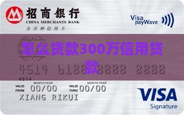 怎么贷款300万信用贷款