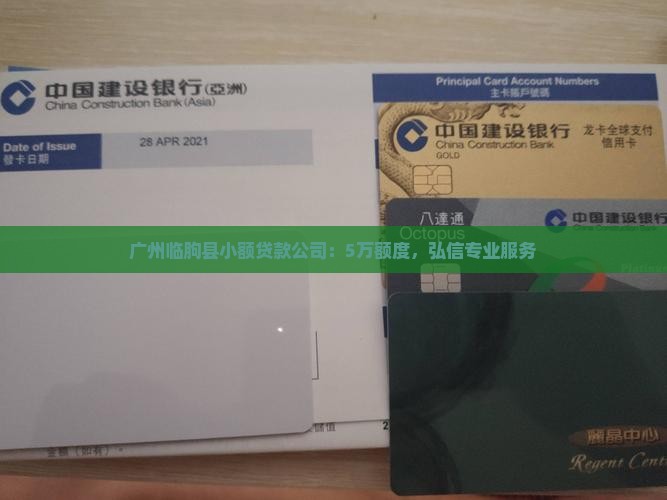 广州临朐县小额贷款公司：5万额度，弘信专业服务