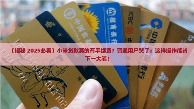 小米贷款有手续费