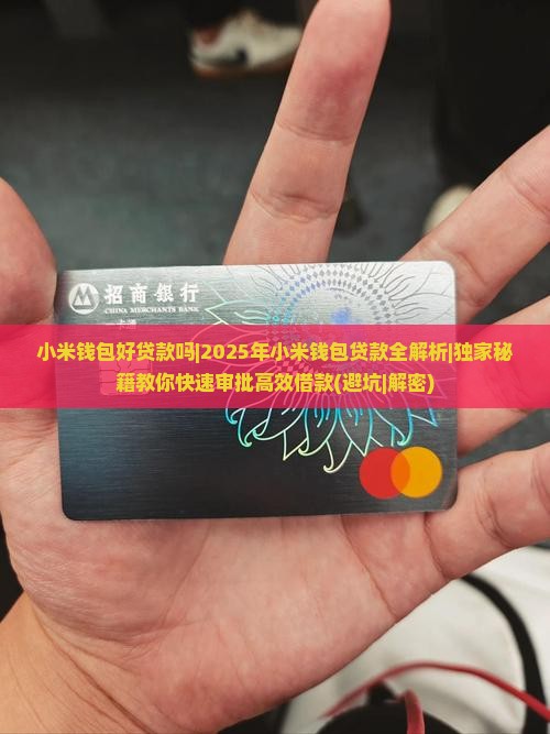 小米钱包好贷款吗