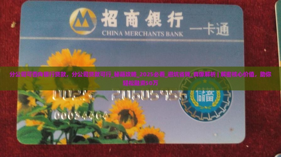 分公司可否向银行贷款