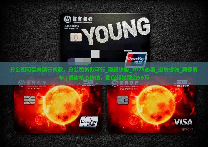 分公司可否向银行贷款
