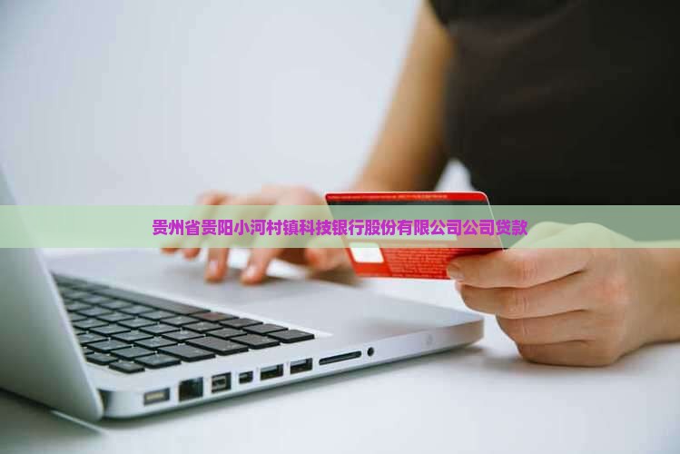 小河村镇科技银行贷款