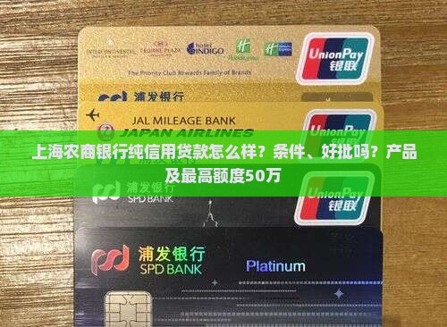 上海农商银行纯信用贷款