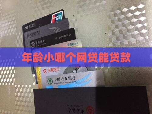 年龄小哪个网贷能贷款