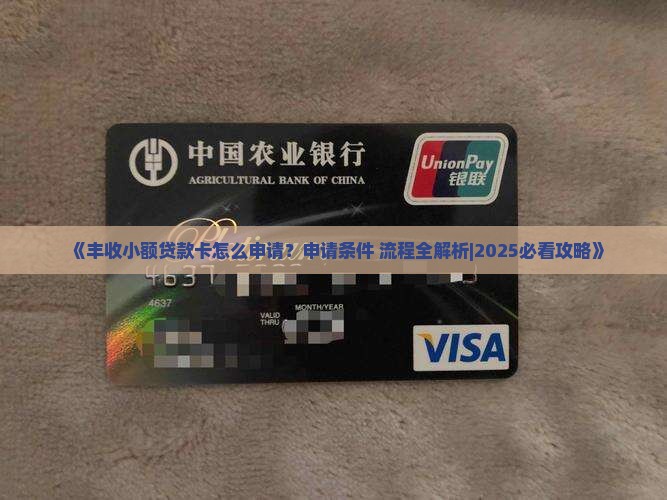 丰收小额贷款卡怎么申请