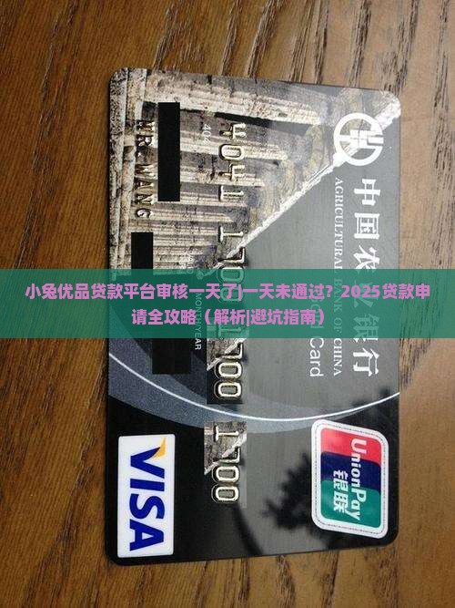 小兔优品贷款平台审核一天了