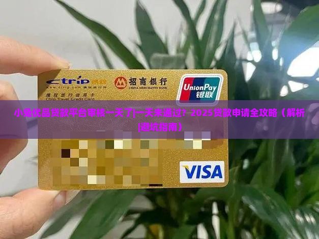 小兔优品贷款平台审核一天了