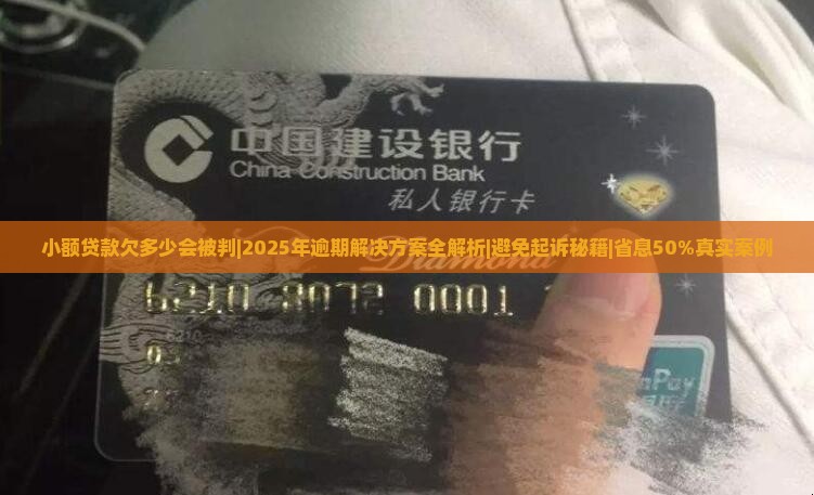 小额贷款欠多少会被判