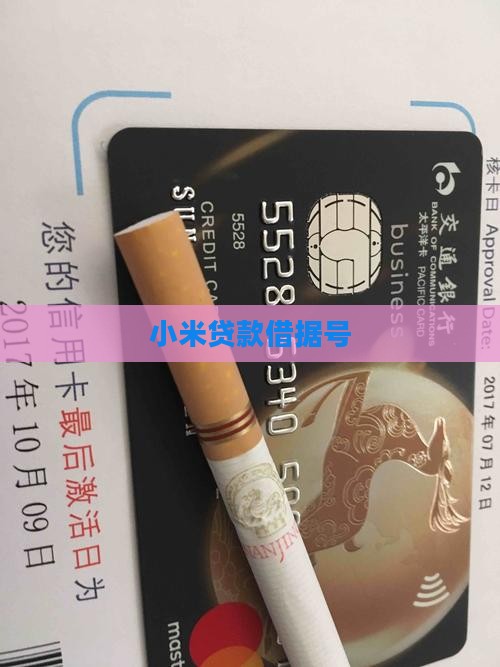 小米贷款借据号