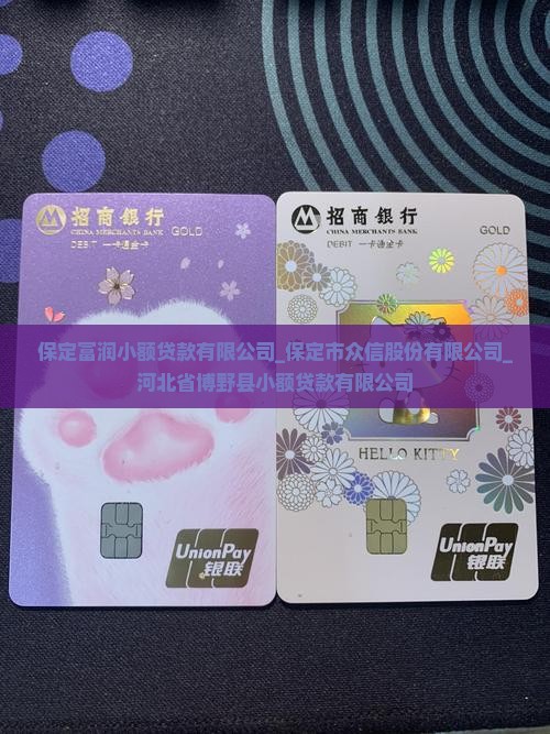 保定富润小额贷款