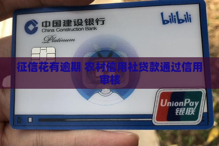征信花信用社贷款通过