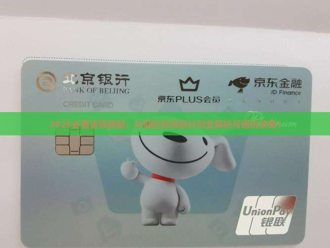 分期还款贷款计划
