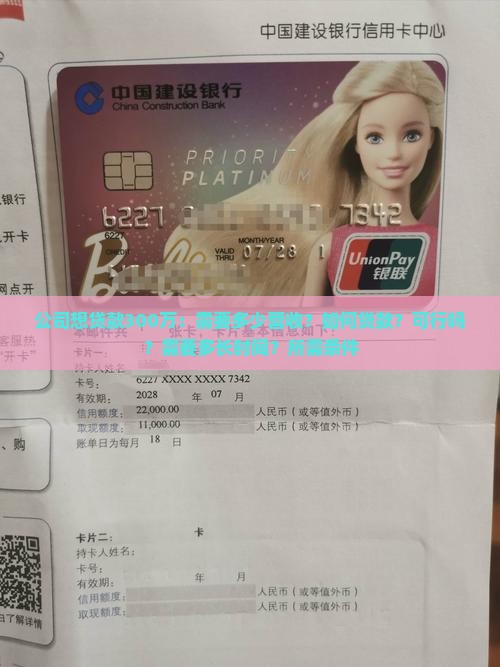 公司想贷款300万