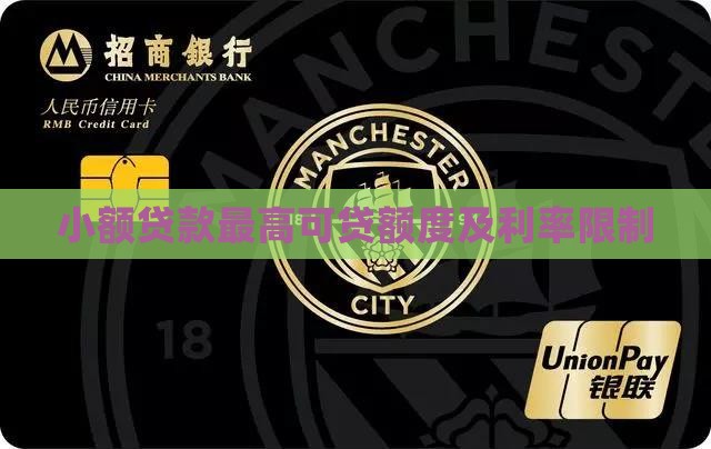 小额贷款最高可贷
