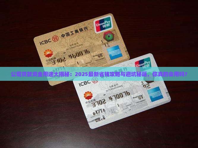 公司贷款资金用途