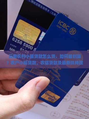云南农村小额贷款怎么贷