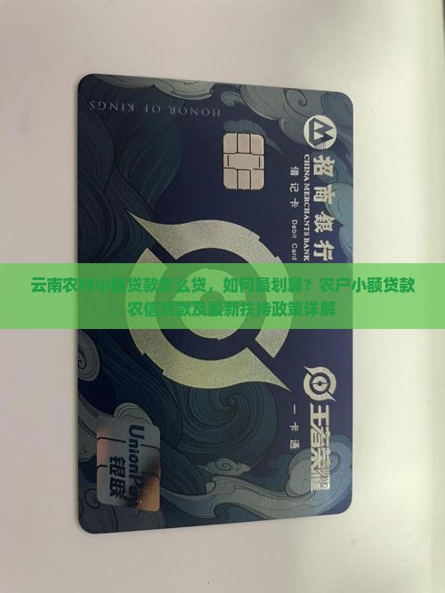 云南农村小额贷款怎么贷