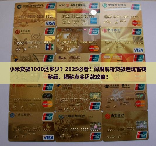 小米贷款1000还多少