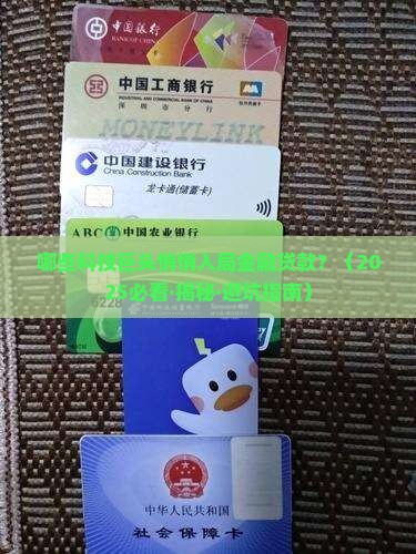 哪些科技公司做金融贷款