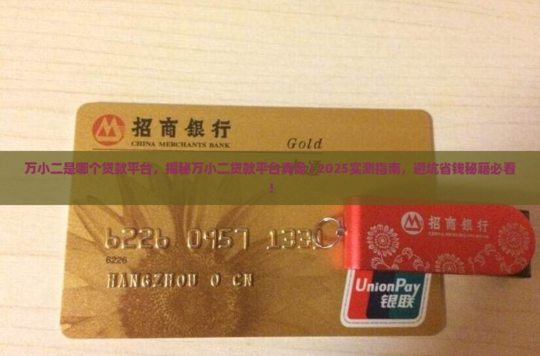 万小二是哪个贷款平台