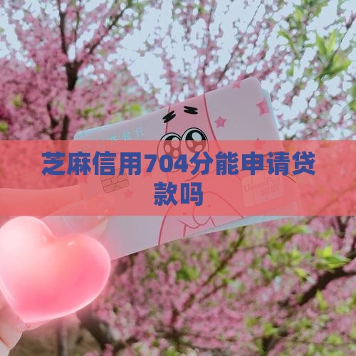 芝麻分704能贷款吗