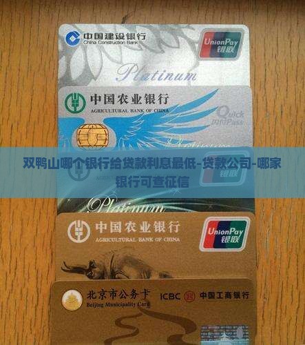 双鸭山哪个银行给贷款