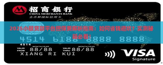 小额贷款平台担保费