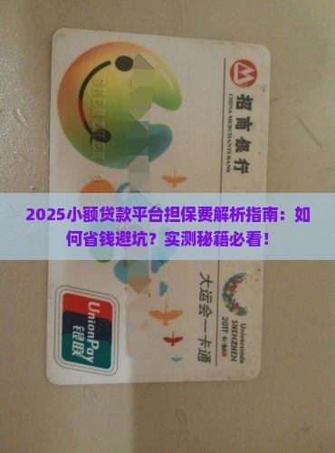 小额贷款平台担保费