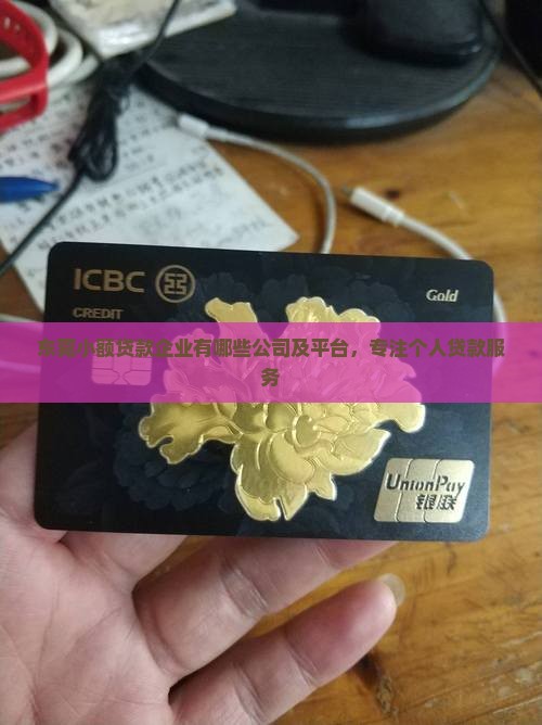 东莞小额贷款企业有哪些