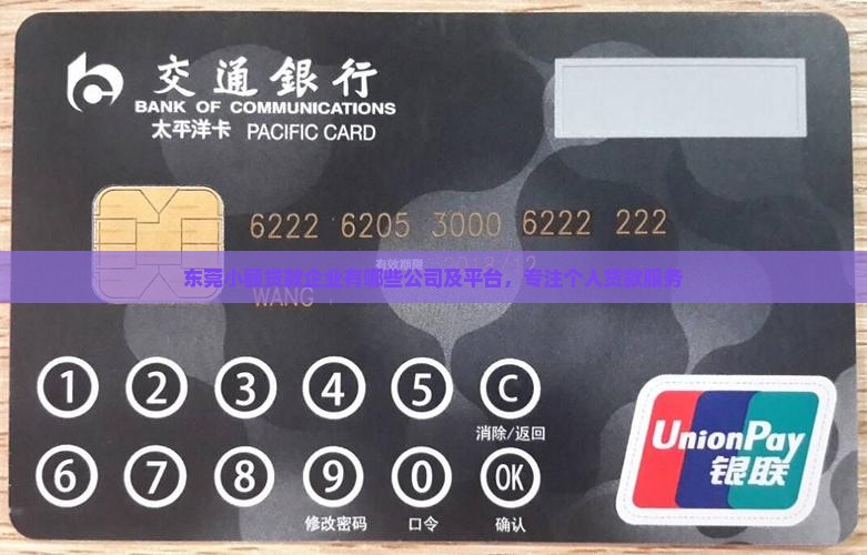 东莞小额贷款企业有哪些