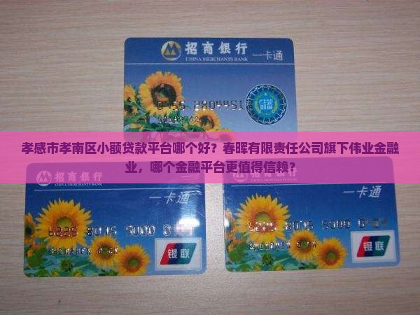 孝感小额贷款平台哪个好