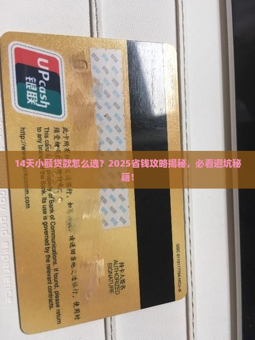 有14天的小额贷款