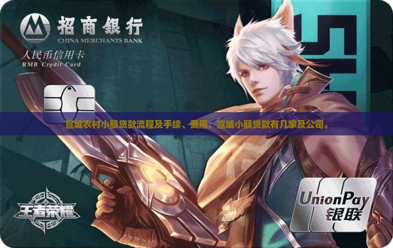 宣城农村小额贷款流程