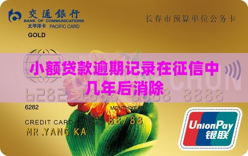 小额贷款逾期几年后消除