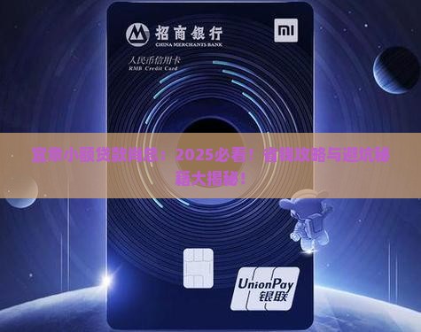 宜章小额贷款肖总
