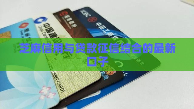 只需审核芝麻信用的贷款