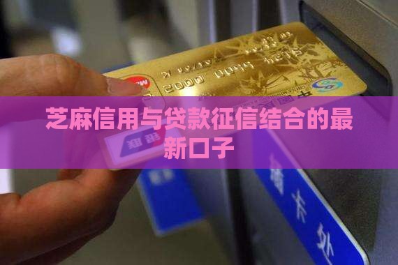 只需审核芝麻信用的贷款