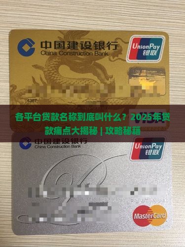 各平台贷款名称