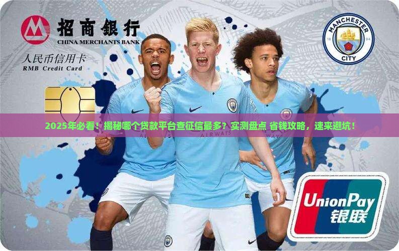 哪个贷款征信查的最多啊