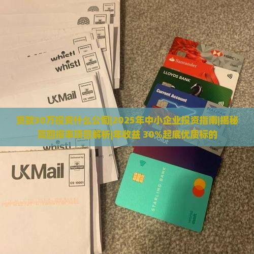 贷款30万投资什么公司