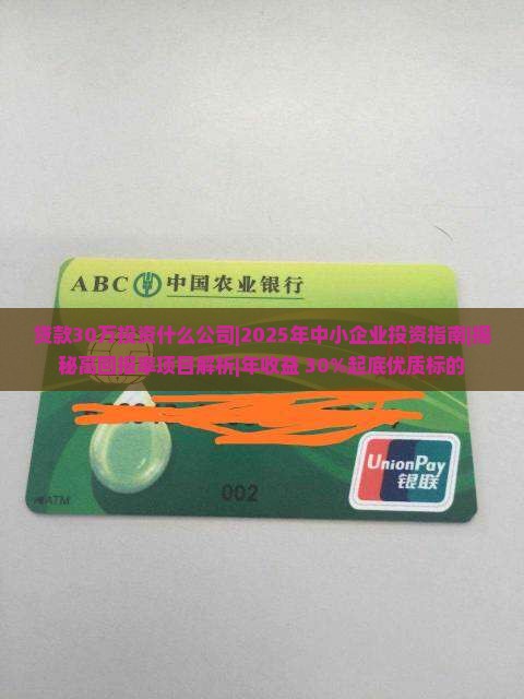 贷款30万投资什么公司