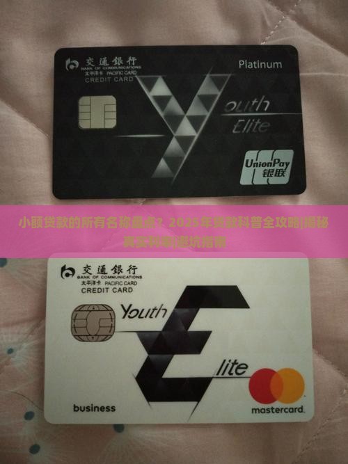 小额贷款的所有名称