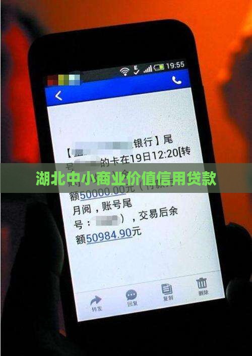 小企业商业价值信用贷款