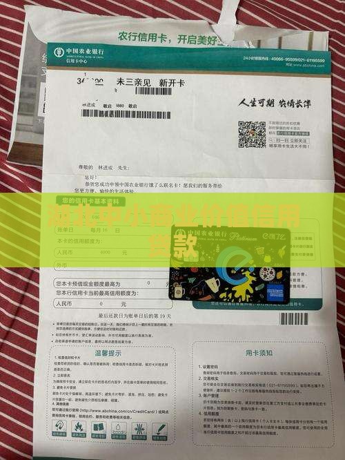 小企业商业价值信用贷款