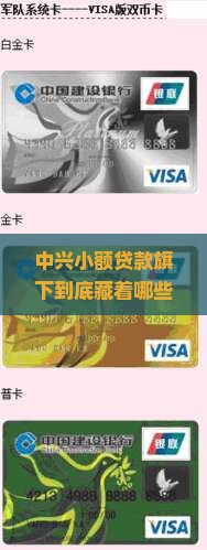 中兴小额贷款旗下