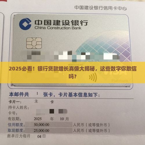 国内银行夸大贷款增长