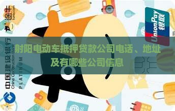 射阳电动车抵押贷款公司