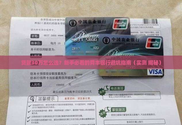 舜丰银行贷款30